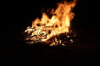 IMG_1006.JPG